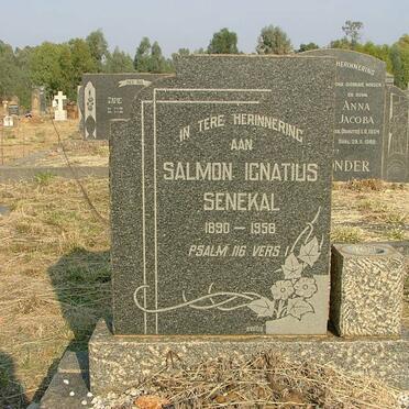 SENEKAL Salmon Ignatius 1890-1958