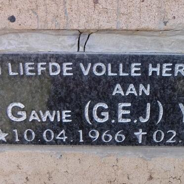 Y - Surnames :: Vanne - Y