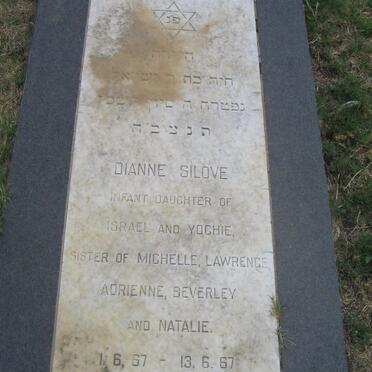 SILOVE Dianne 1967-1967