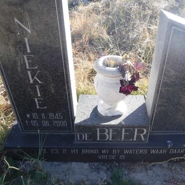 BEER Niekie, de 1945-2000