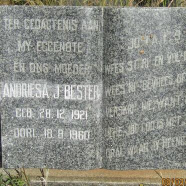BESTER Andriesa J. 1921-1960