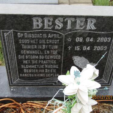 BESTER Nadine 2003-2003