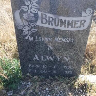 BRUMMER Alwyn 1930-1979