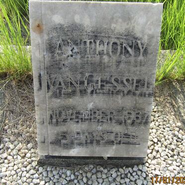 GESSEL Anthony, van 1967-1967