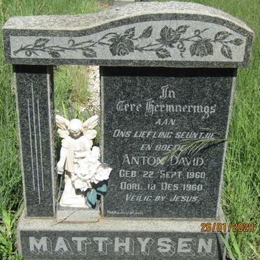 MATTHYSEN Anton David 1960-1960