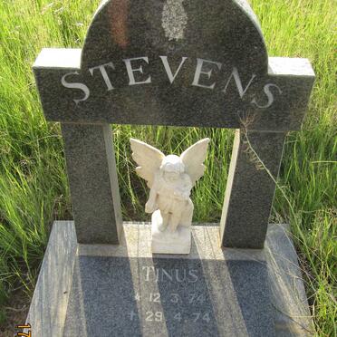 STEVENS Tinus 1974-1974