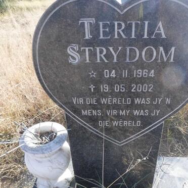 STRYDOM Tertia 1964-2002