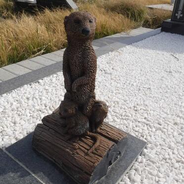 VENTER Willem Lodewikus 1918-1992 &amp; Christina Magdalena 1923-2002