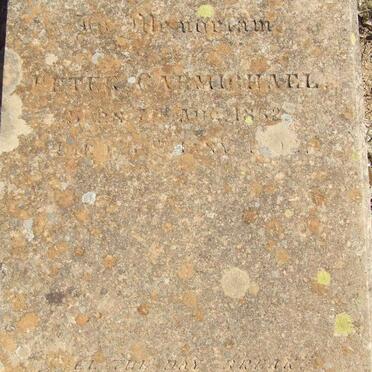 CARMICHAEL Peter 1852-18?2