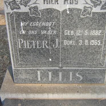 ELLIS Pieter J. 1882-1965