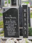 MESANI Nomvula Bertha 1971-2008