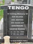 TENGO Chumani 1990-2008