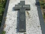 BRIEL Attie 1961-1997