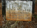 BLANCKENBERG Edwin Wayland 1877-1953