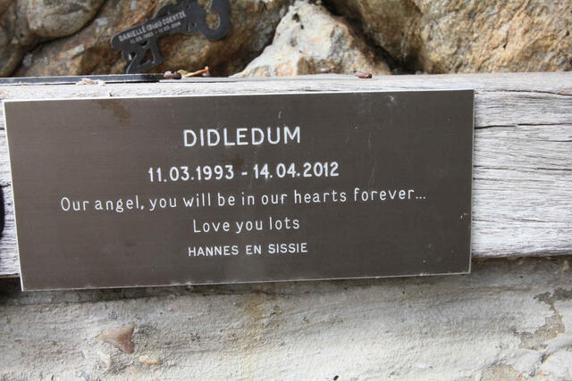 ? Didledum 1993-2012