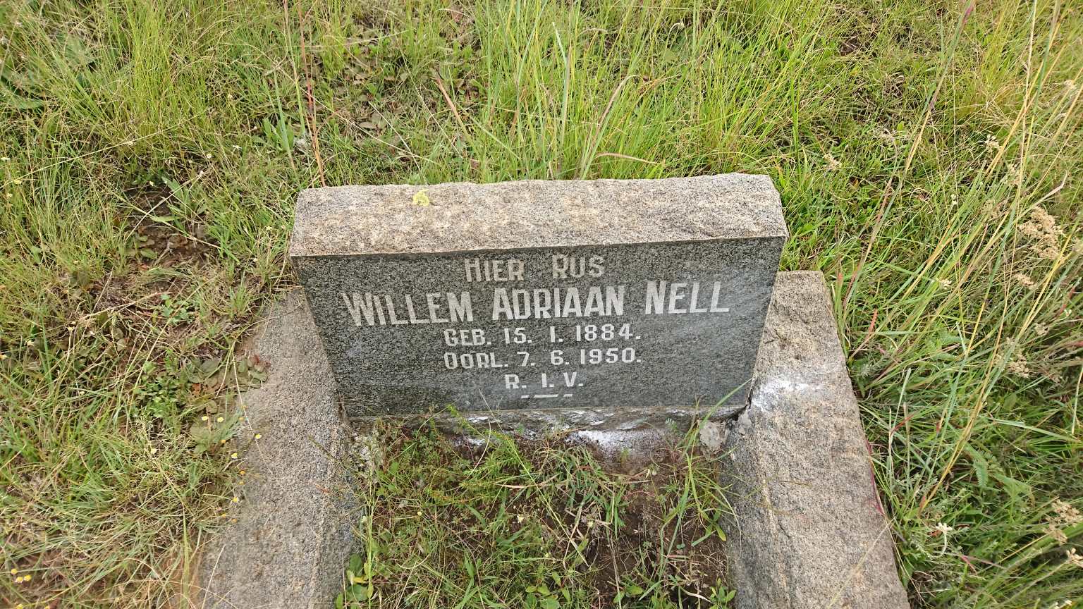 NELL Willem Adriaan 1884-1950