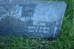 NELSON Bertha Ellen 1873-1950