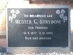 STRYDOM Hester C. nee FERREIRA 1877-1955