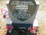 LERM Andries Jacobus 1994 - 1994