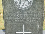 GRIFFITHS J.Z. −1917