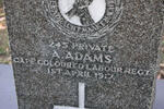 ADAMS A. -1917