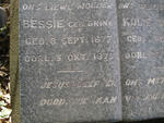 VISSER Bessie nee BRINK 1877-1973