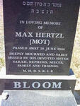 BLOOM Max Hertzl -2000