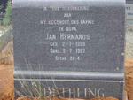 NEETHLING Jan Hermanus 1900-1967