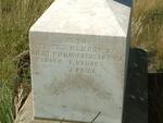 Main memorial stone Modderfontein_5