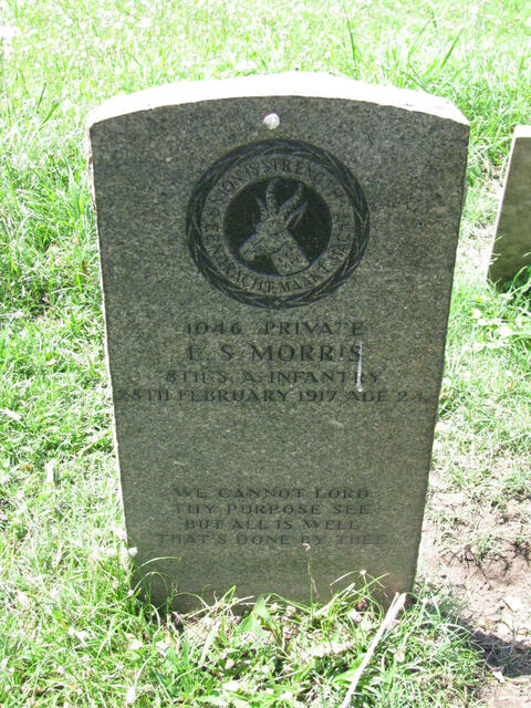 MORRIS E.S. -1917