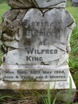 KING Wilfred -1904