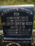 TERWIN Charlotte Ann 1886-1965