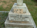 WILLIAMS Susannah -1909