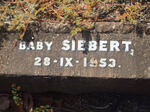 SIEBERT Baby -1953