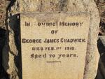 CHADWICK George James -1916 :: CHADWICK Richard James 1891-1957
