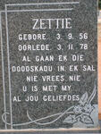 ? Zettie 1956-1978