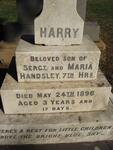 HANDSLEY Harry -1896