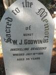 GODWIN W.J. -1888