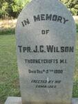 WILSON J.C. 1900