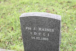 HAINES J. -1903