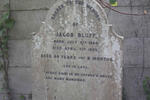 BLUFF Jacob 1844-1889