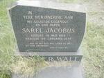 WALT Sarel Jacobus, van der 1916-1974