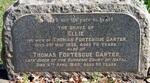 CARTER Thomas Fortesque 1855-1945 & Ellie 1860-1935