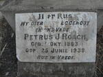 ROACH Petrus J. 1883-1939
