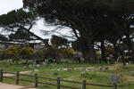 Western Cape, CAPE TOWN, Salt River, Falmouth Road, Muslim cemetery