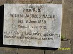 NAUDE Willem Jacobus 1868-1942