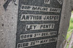 PENTZ Anthon Jasper Ley 1876-1936