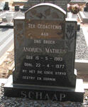 SCHAAP Andries Matheus 1903-1977