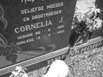 BRONKHORST Cornelia J. 1912-1995
