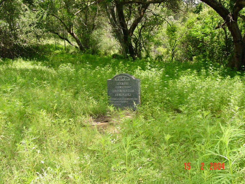 1. Overview on gravesite area